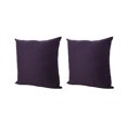 Noble House Stauss Fabric Pillows, Set of 2, Plum