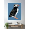 thumbnail image 2 of Puffin On A Blue Background Poster Wall Art, Modern Wall Decor For Living Room Bedroom, 16x24 UNFRAMED, 2 of 3