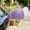 Purple, variant on Remote Control Electric Car Tail, Cute Fuzzy Wagging Moving Tail for Car Exterior Decoration, Handmade Rechargeable Auto Trunk Charm, Cosplay Accessory (Black)