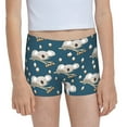 thumbnail image 7 of Girls Underwear, Cute Sleeping Koala Cute Soft Breathable Cotton Girls Panties, Kids Stretch Cute Underwear Brief for Teen and Toddlers Girls, 7 of 7