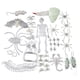 thumbnail image 2 of Simulación Gecko Modelo mayimx Halloween Figuras de animales 48 piezas, 2 of 9