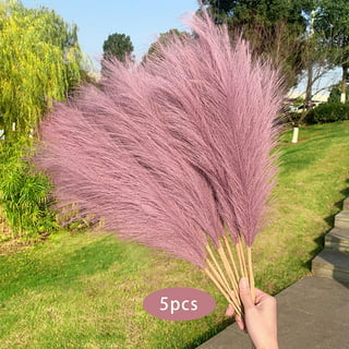 Dark Plum Purple Large Pampas Grass Plume Faux Single Wired Stem Spray –  Darby Creek Trading
