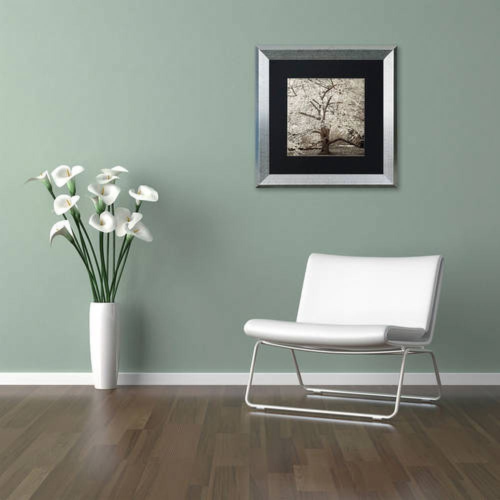 Trademark Fine Art "Hampton Magnolia II" Canvas Art by Alan Blaustein, Black Matte, Silver Frame