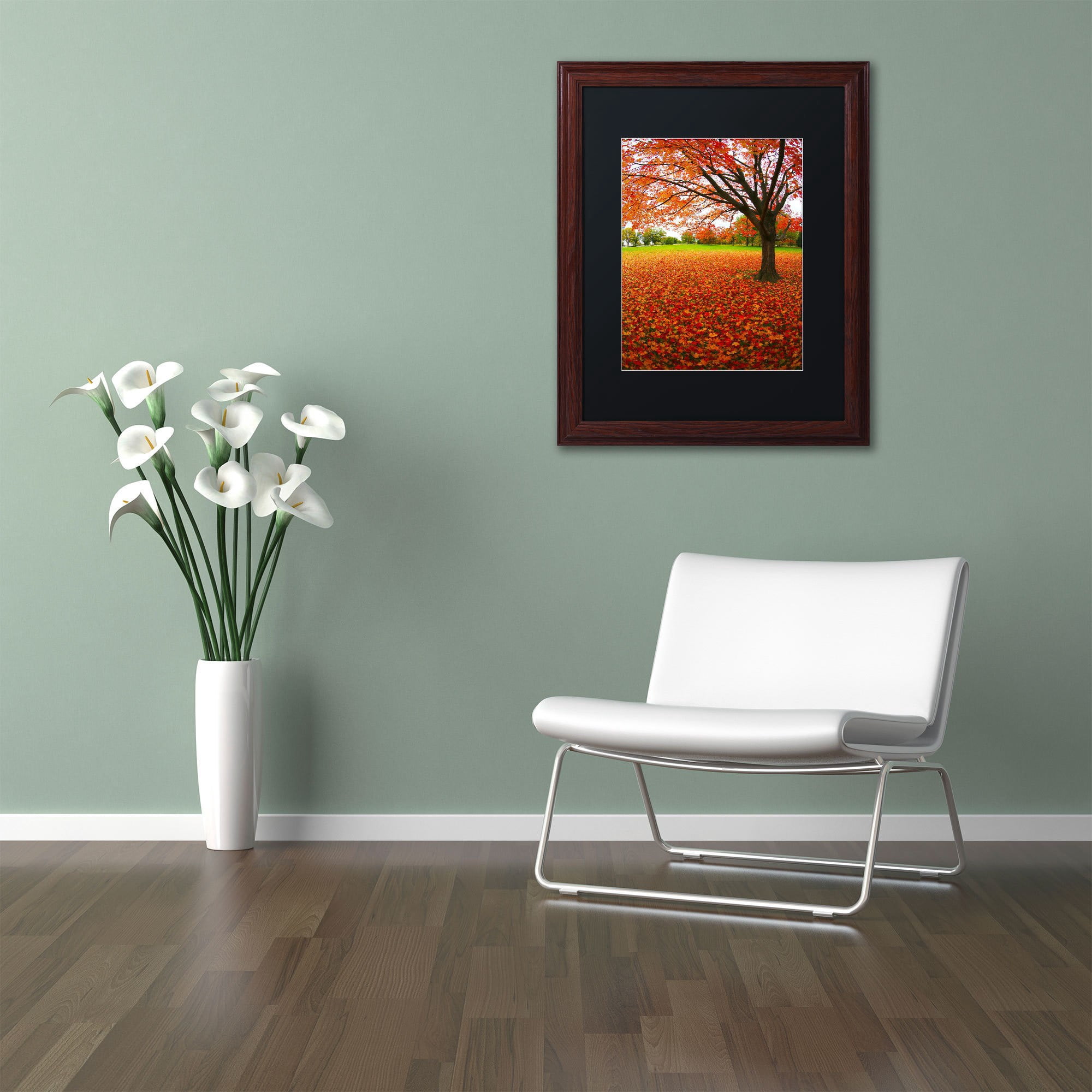 Trademark Fine Art "Autumn Expressions" Canvas Art by CATeyes, Black Matte, Wood Frame
