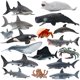 thumbnail image 1 of 20cm Sea Animals Action Figure Ocean World Teaching Aids Model Blue Whale Dolphin Miniature Biology Education Shark Toy Childrenwalrus He Qiyong unisex, 1 of 1