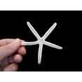 thumbnail image 3 of Set of 50 White Pencil (Finger) Starfish 4-5" Beach Wedding Nautical Decor Crafts, 3 of 3