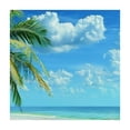 thumbnail image 4 of WYYP Palm Tree Square Fitted Tablecloth 100% Polyester Fiber 40*40, 4 of 8