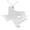 Silver, variant on Texas USA State Map Necklace in Gold Silver Rose Gold Tricolor Stainless Steel Jewelry Pendant
