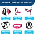 thumbnail image 6 of PetSafe Nylon Dog Leash, Strong, Durable, Easy to Use Bolt Snap, 3/4" x 4', Raspberry, 6 of 6