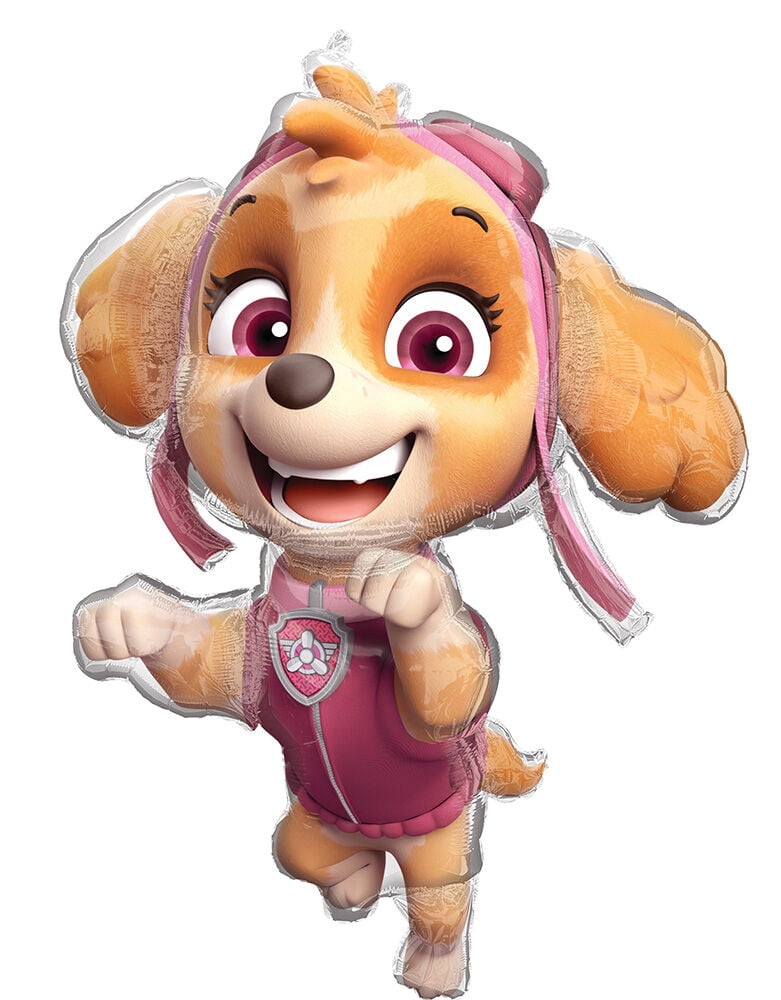 Paw Girl Pups on Patrol Skye 4th Birthday Party Supplies Balloon Bouquet Decorations