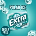 thumbnail image 4 of Extra Polar Ice Sugar Free Chewing Gum Bulk 15 ct / 8 pk, 4 of 5