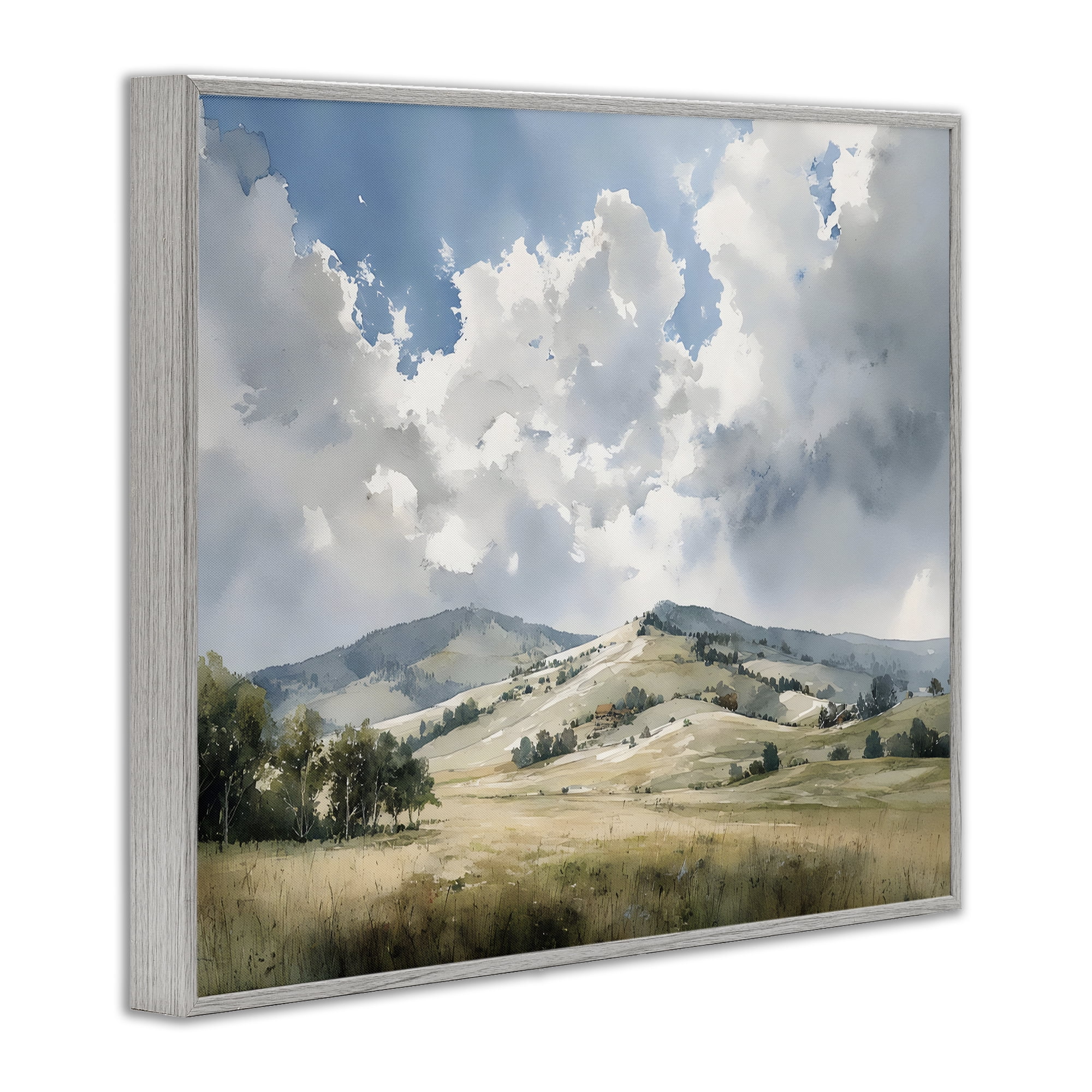 Stupell Industries Tranquil Hills Meadow Gray Framed Giclee Art, design by Franklyn Gregory