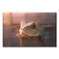 thumbnail image 1 of Cuadro Canva Listo Para Colgar Tipo Galería Reptil Nadando 40X60 cm, 1 of 4