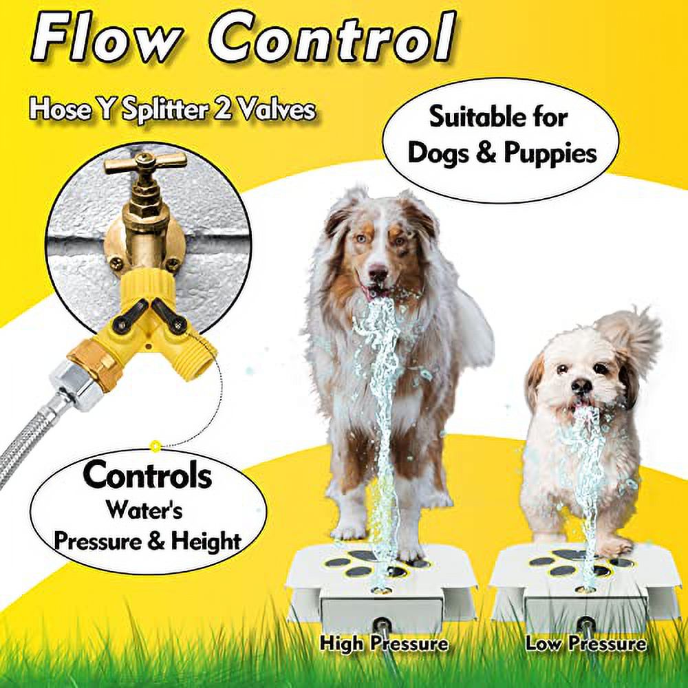 Paw Activated Water Fountain, Includes 304 Stainless Steel Dog Hose