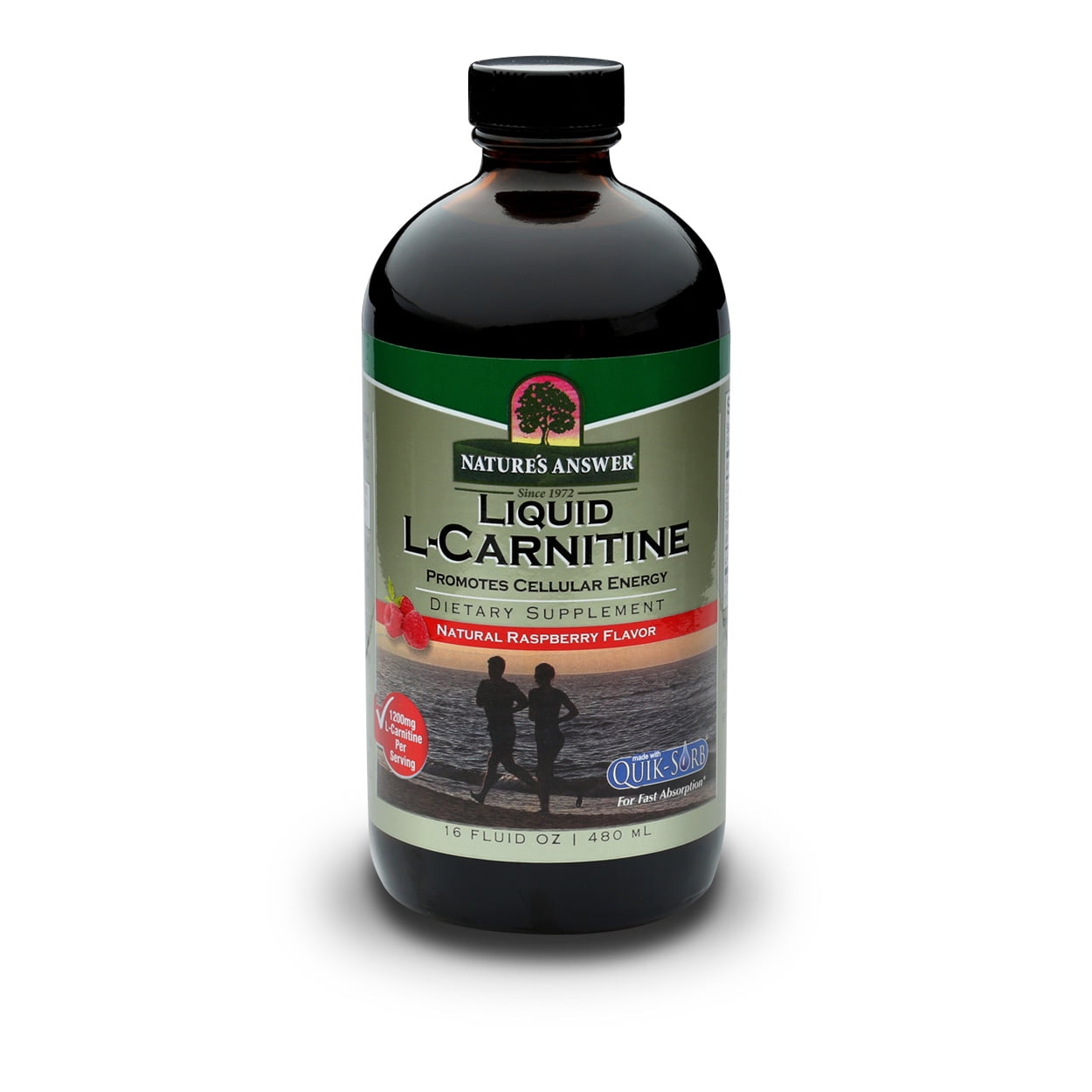 L-Carnitine 1200mg Liquid 16oz