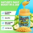 thumbnail image 3 of Biolore Sour Apple Sea Moss Gel, 8 oz – No Added Sugar, Vegan, Ready-to-Use Wildcrafted Sea Moss Gel with Monk Fruit, Smoothie & Food Add-In, 3 of 5