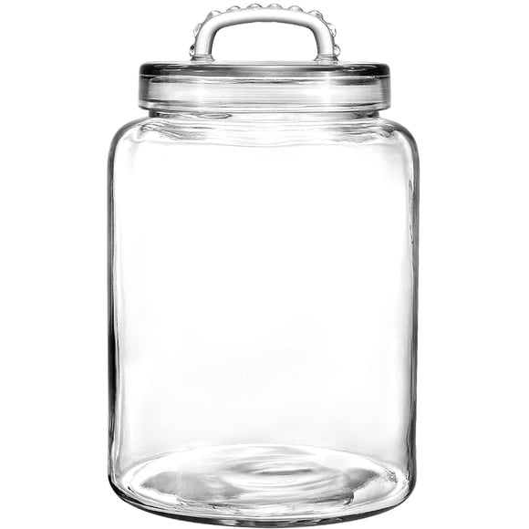 Daitouge 3 Gallon Glass Jar with Lid, Wide Mouth Large Glass Canister with lid, Super Large Cookie Jar for Food Storage, Sugar, Flour, Cookies,Dog Tr