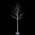 thumbnail image 3 of Northlight 4' LED Lighted White Birch Christmas Twig Tree - Warm White Lights, 3 of 8