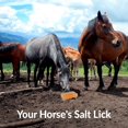 thumbnail image 3 of Bloques de sal rosa del Himalaya para caballos Himalayan Nature, pack de 2, 2,7 kg, 3 of 8