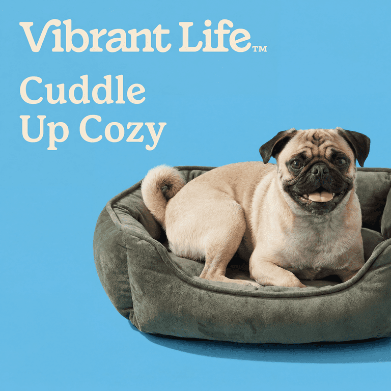 Vibrant Life Small Velvet Tufted Cuddler Pet Bed, Green photo 4