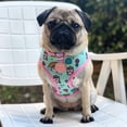 thumbnail image 5 of Frenchiestore Reversible Dog Health Harness | UniPup, 5 of 13