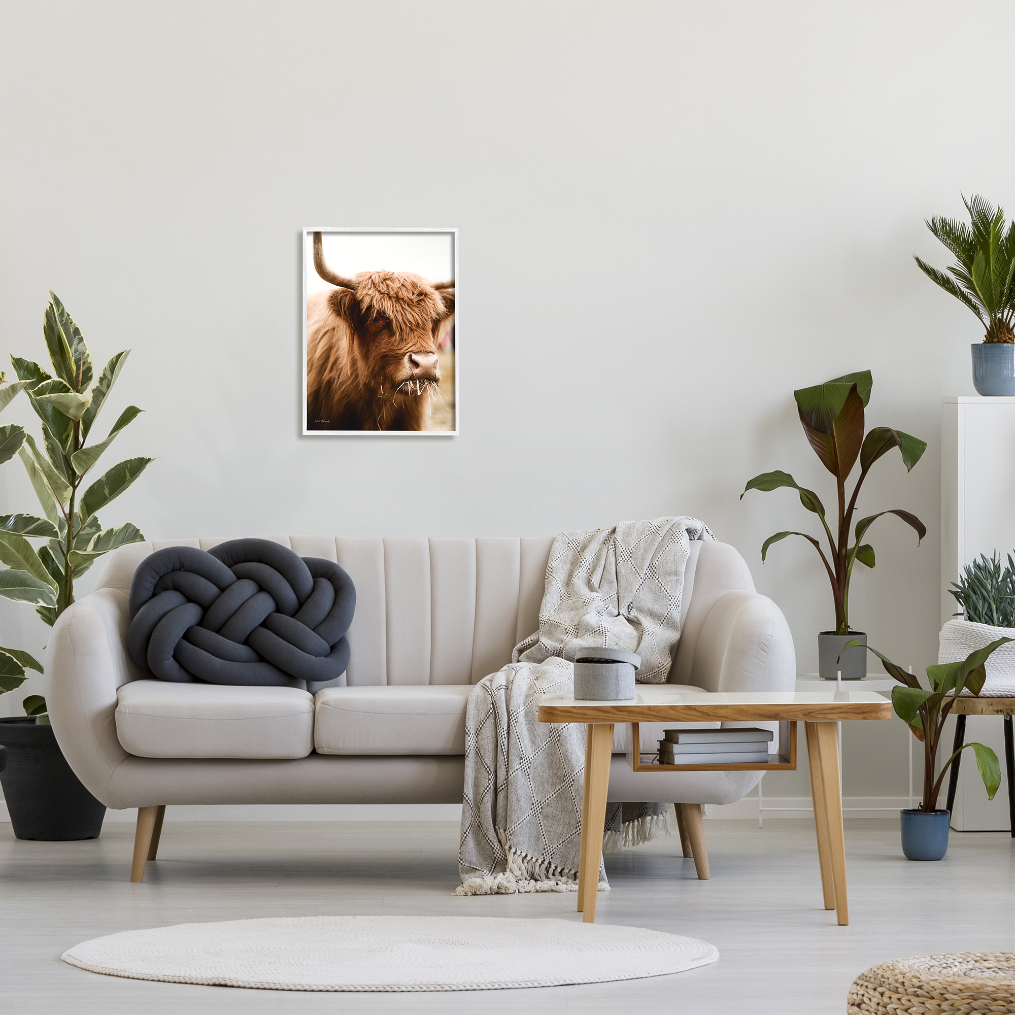 Stupell Industries Cattle Chewing Photography Animals & Insects Photography White Framed Art Print Wall Art, 16 x 20