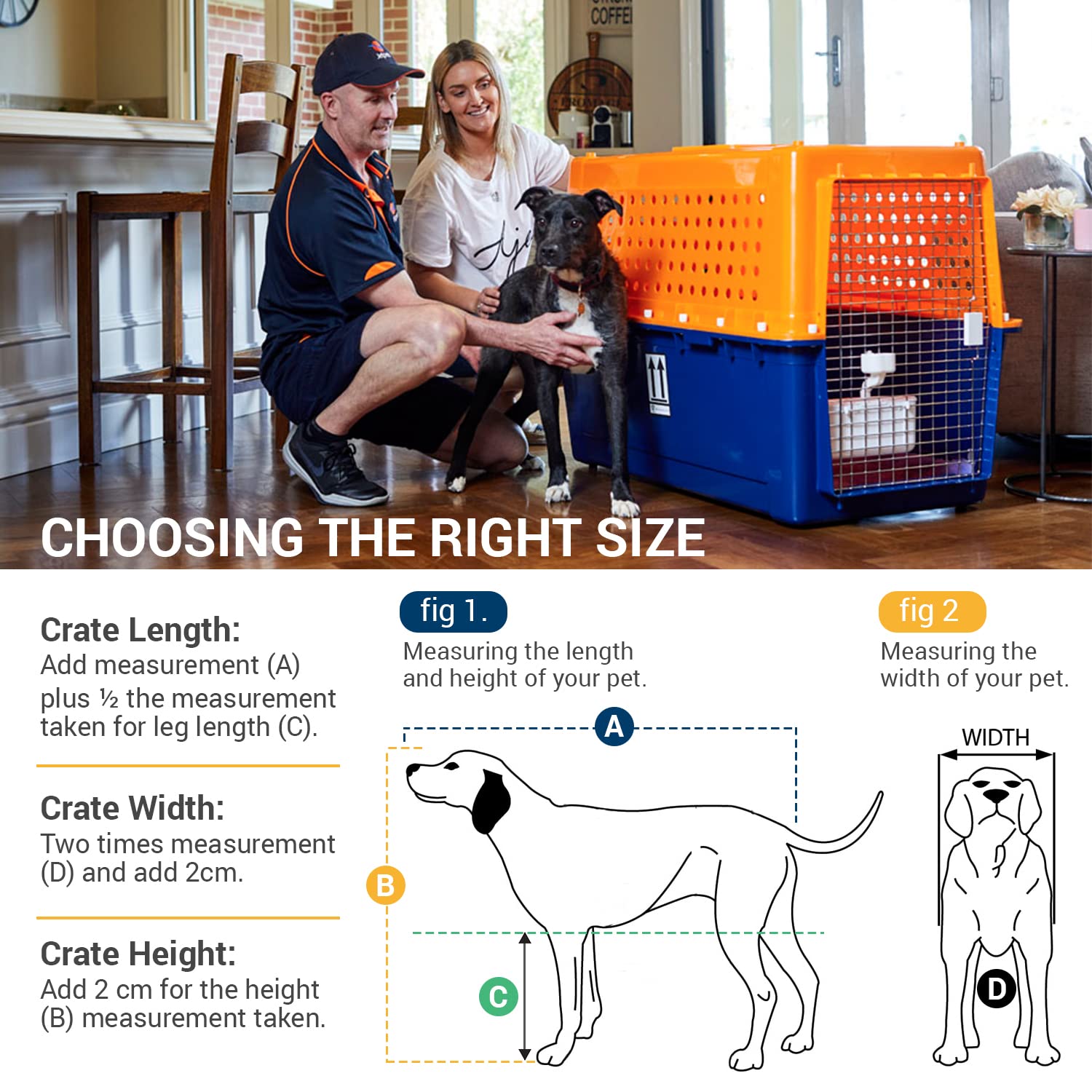 Pet Crate for Large Dogs and Cats, Heavy Duty Airline Approved Travel Kennel, Durable Metal Door Dog Cage Indoor Outdoor Use, Includes Mat and Bowl, Yellow and Blue
