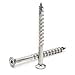 thumbnail image 3 of Vis de Plateau Carré 305 Tête de Bugle en Acier Inoxydable Type 17 Points - 12 x 5 Qt-25, 3 of 4