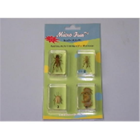 C and A Scientific  4 pcs Bug set