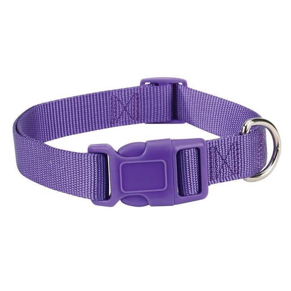 6-10 in. Nylon Dog Collar, Purple