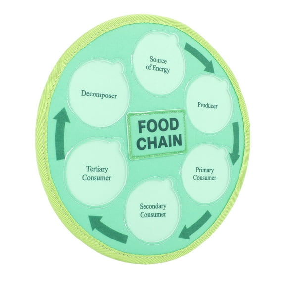 Kits Scientifiques de Chaîne Alimentaire, Forêt Marine Arctique, Planche en Feutre, Jouets d'Apprentissage pour la Classe