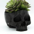 thumbnail image 6 of Clever Contraptions Real-Looking Skull Succulent Planter – Macabre Elegance (Medium), 6 of 9