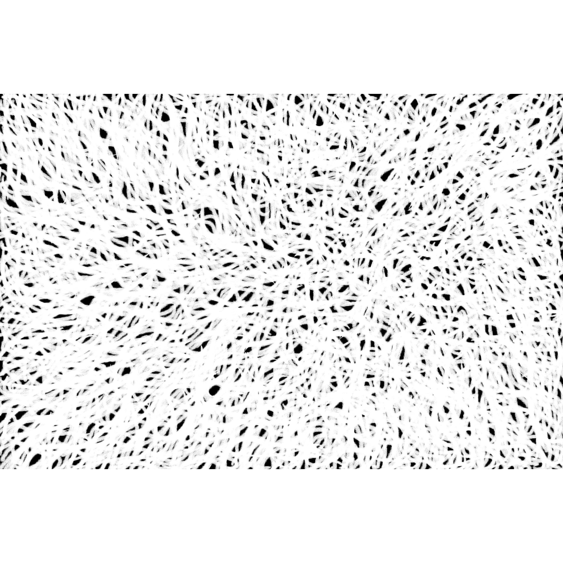 Marco Fine Arts Divine Touch "Mesh Work" Abstract Contemporary Canvas