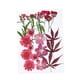 thumbnail image 2 of Flores secas prensadas, pegatinas de maquillaje de flores secas para álbumes de recortes, manualidades de bricolaje para Arce, 2 of 9