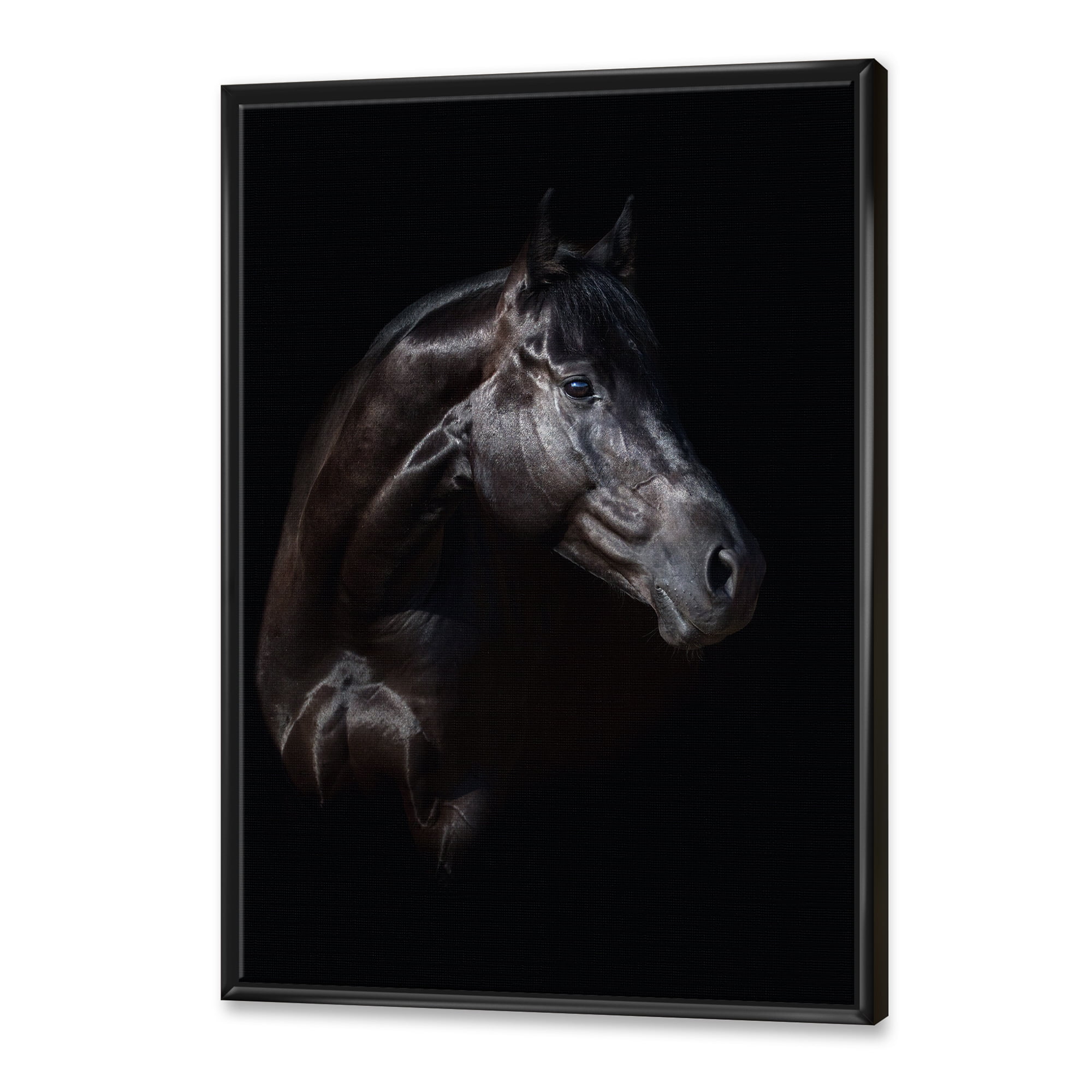 Designart 'Silhouette Of Horse and Woman' Farmhouse Framed Canvas Wall Art Print
