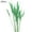 Green, variant on Farfi 25Pcs/Set Artificial Flower Decor Widely Applied Exquisite Workmanship No Withering Pampas Oat Grass Dried Flower Decor for Party (Bright Red)