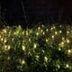 thumbnail image 5 of Luces navideñas impermeables de tubo de vidrio de alambre blanco cálido y verde 200LED Ormromra CJWUS-3423, 5 of 6
