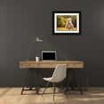 thumbnail image 3 of PHBurchett   14x12 Black Ornate Wood Framed with Double Matting Museum Art Print Titled - Golden Lit Horse IV, 3 of 4