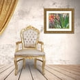 thumbnail image 3 of Popcorn 32x25 Gold Ornate Wood Framed with Double Matting Museum Art Print Titled - Rock Echeveria II W/ Agave, 3 of 4
