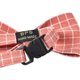 thumbnail image 4 of Collar para Gato con Pajarita, 2 Piezas Collar de Pajarita Durable y Cómodo, Collar para Perro Gato con Pajarita a Cuadros Ajustable, para Perros y Gatos pequeños, Talla M, 4 of 7