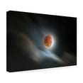 thumbnail image 4 of Rooswandy Juniawan 'super blood lunar eclipse' Canvas Art, 4 of 4