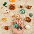 thumbnail image 4 of Caracola natural WedoSoy con forma de conchas de cangrejo ermitaño, 4 a 8 cm, 15 unidades, 4 of 6
