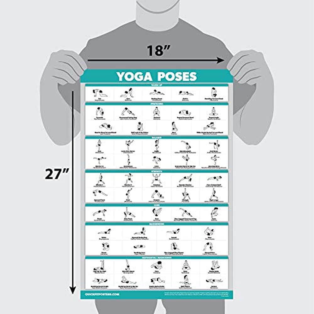Beautiful woman demonstrating yoga poses. Set of yoga asanas with names in  English and Sanskrit for a slim body. Yoga sequence vector design. 13444412  Vector Art at Vecteezy