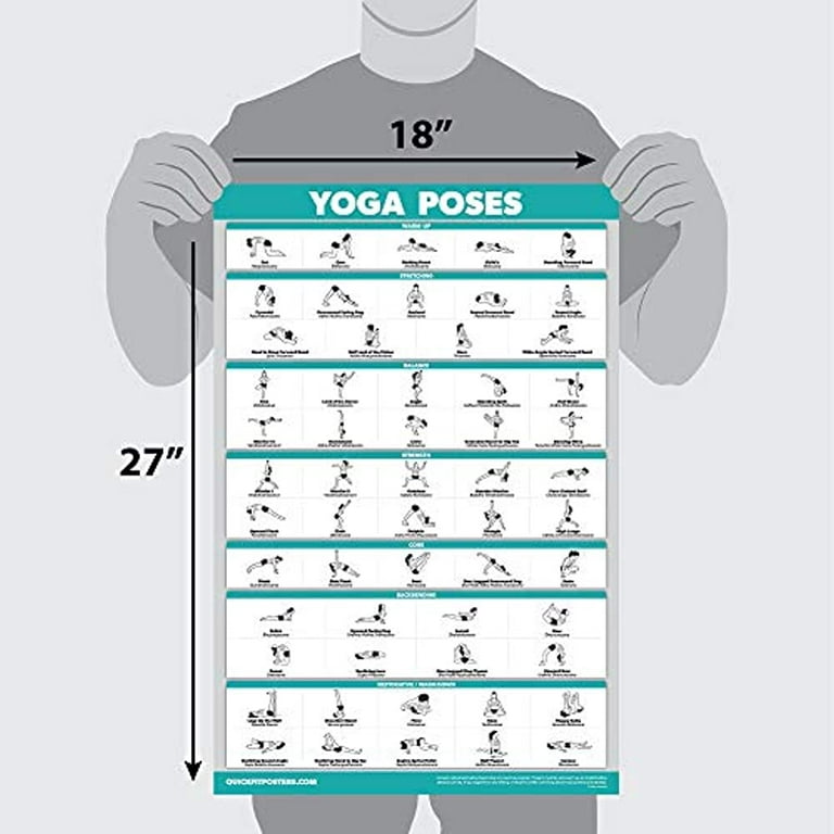 QuickFit Yoga Poses Poster - Beginner Yoga Position Chart - English and  Sanskrit Names - Double Sided (Laminated, 18 x 27) 