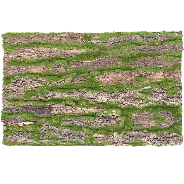 Miangastore Reptile Climbing Bark Background Bark Decor Reptile Climbing Mat Landscaping