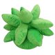 thumbnail image 3 of Almohada de suculentas de imitación, almohada de tiro suculenta, lindo juguete de peluche con forma de planta, decoración del hogar, 17,7 pulgadas, verde hierba, 3 of 5