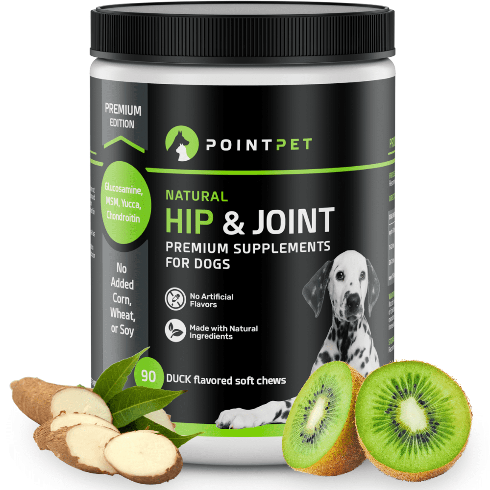 POINTPET PointPet Glucosamine Chondroitin Hip & Joint Dog Supplement