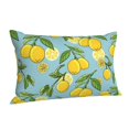 thumbnail image 2 of Vsdgher Lemon Print Pillow Cases -Iconic Collection Pillowcases -Extra Soft, Not easy to deform,not pilling Export quality, 2 of 8