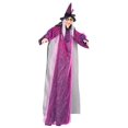 thumbnail image 3 of Lipstore Halloween Hanging Witch Animated Talking Witch Sound Activated Luminous Light up, 3 of 7