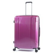 iFLY Pinnacle 28'' Hard Sided Luggage